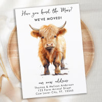 Cow We've Moved New Address Highland Calf Moving