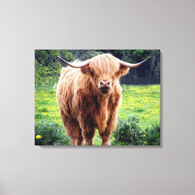 Cow with big horns beautiful nature scenery canvas print (Front)