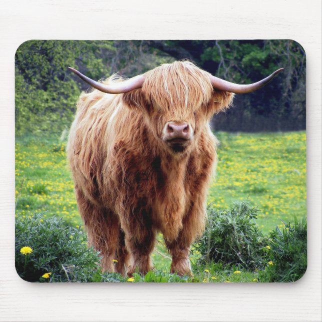 Cow with big horns beautiful nature scenery mouse mat (Front)