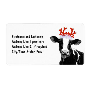 Cow with Reindeer Antlers