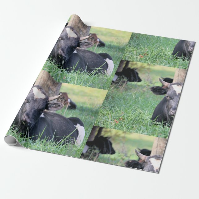Cow Wrapping Paper (Unrolled)