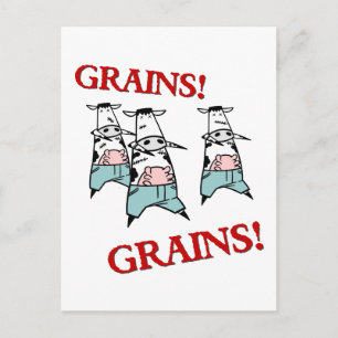 Cow Zombies Postcard