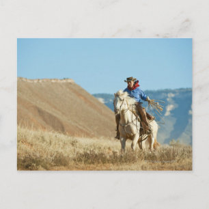 Cowboy 13 postcard