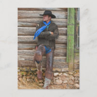 Cowboy 6