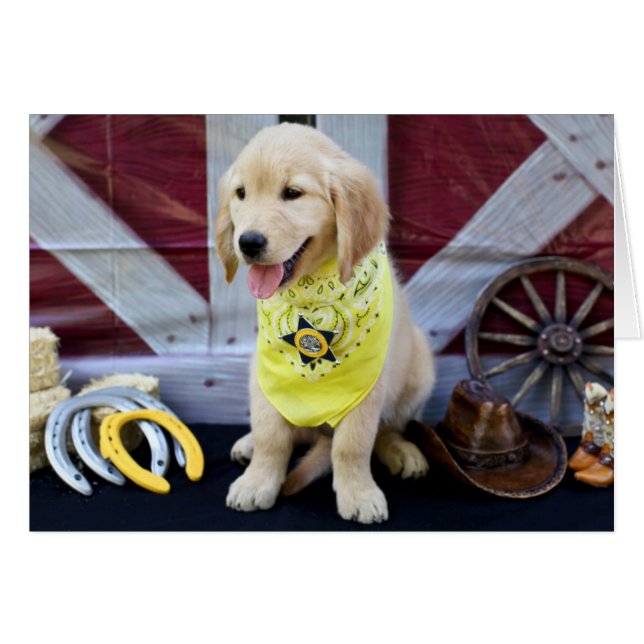 Cowboy Abby card (Front Horizontal)