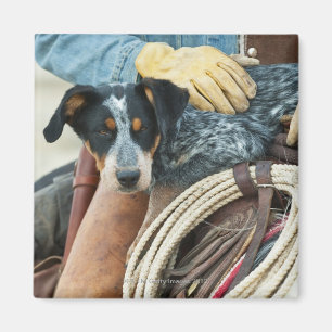Cowboy and dog on horse magnet