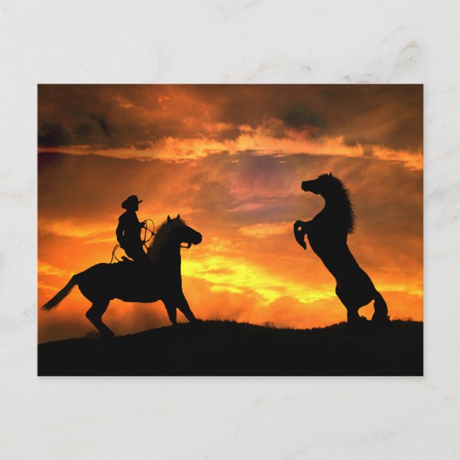 Cowboy and Wild Horse Rearing Country Western Postcard (Front)