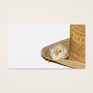Cowboy baby chick profile card