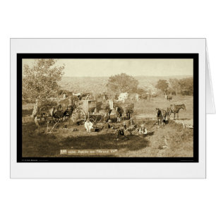 Cowboy Chuckwagon SD 1887