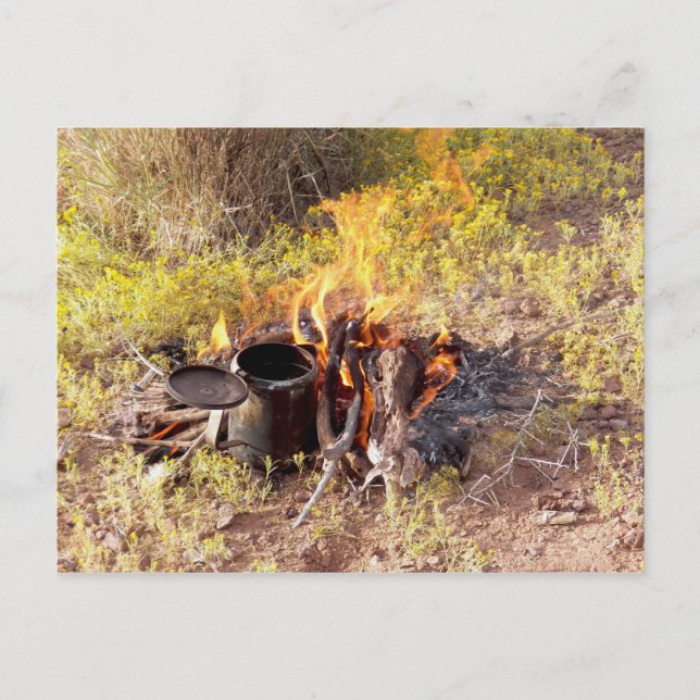 Cowboy Coffee in Dolan Springs, Arizona Postcard (Front)