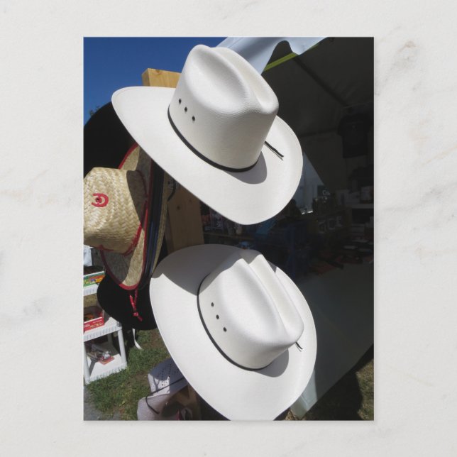 Cowboy Hats Postcard (Front)