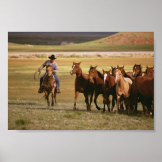 Cowboy Herding at the Ranch Poster