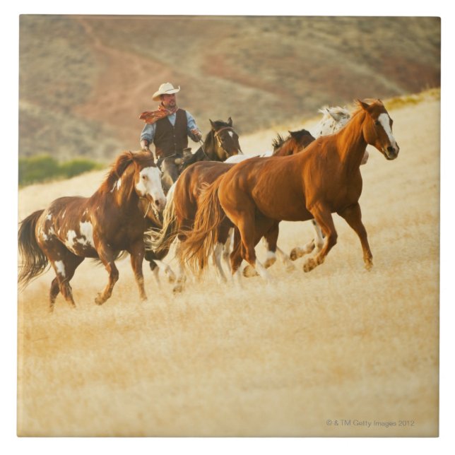 Cowboy herding horses 3 tile (Front)