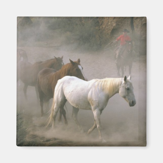 Cowboy Herding Magnet (Front)