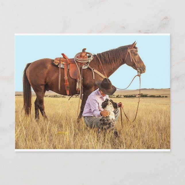 Cowboy, Horse and Dog Postcard (Front)