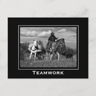 Cowboy Horse and Mule Motivational Postcards