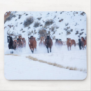 Cowboy Horse Drive   Hideout Ranch Shell, Wyoming Mouse Mat