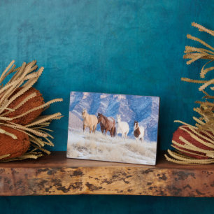 Cowboy Horse Drive on Hideout Ranch Plaque