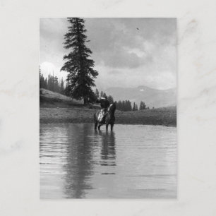Cowboy in a pond postcard