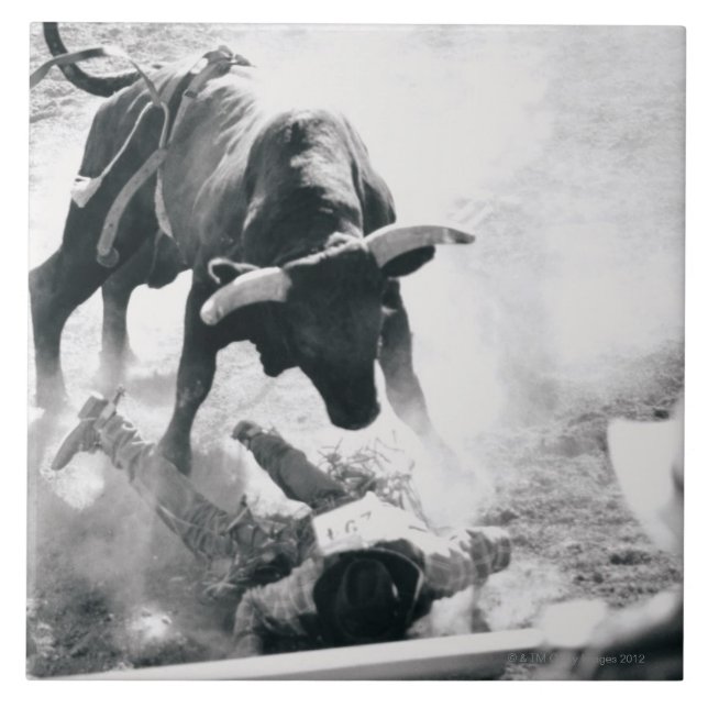 Cowboy on ground after falling off bull tile (Front)