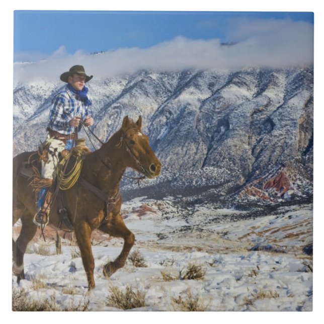 Cowboy on Horse wearing Leather Chaps 2 Tile (Front)