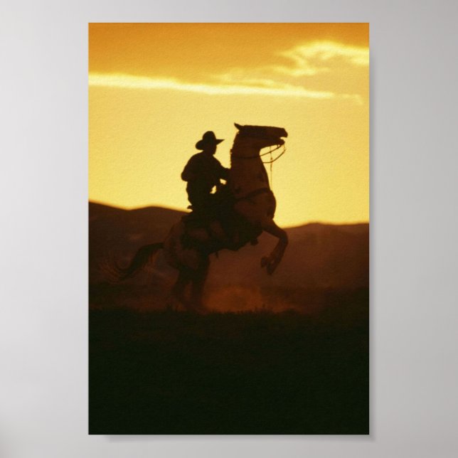Cowboy on Rearing Horse Poster (Front)