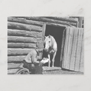 Cowboy reading a letter with a horse postcard