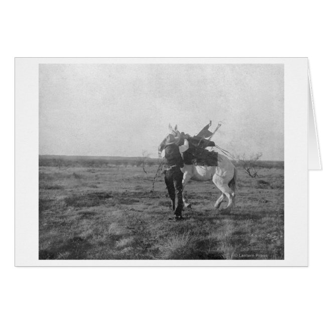 Cowboy "Red Saunders" Saddles a Bronco (Front Horizontal)