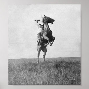 Cowboy Rides Bronco Poster