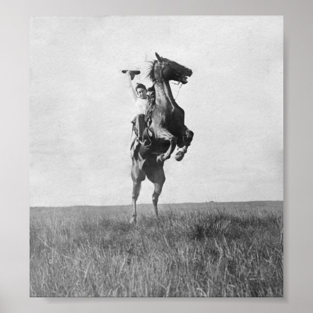 Cowboy Rides Bronco Poster (Front)