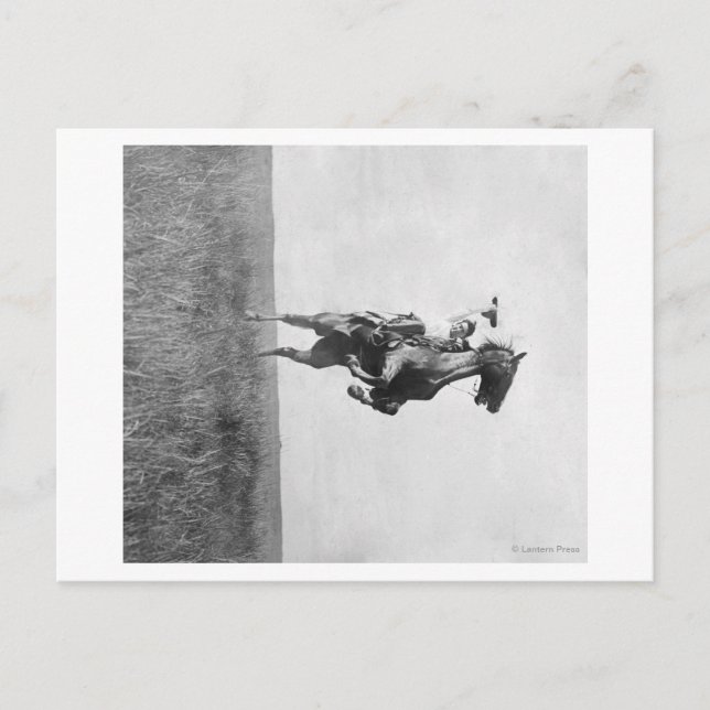 Cowboy Rides Bronco Rising on its Hing Legs Postcard (Front)