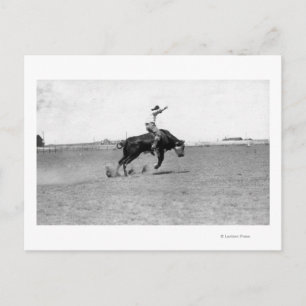Cowboy Riding a Bucking Bull Postcard