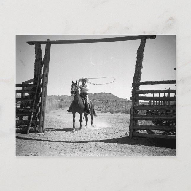 Cowboy roping postcard (Front)