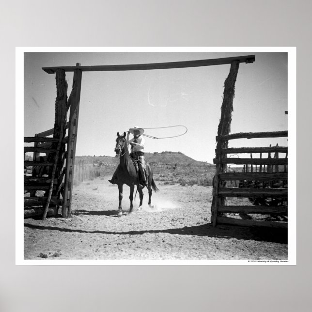 Cowboy roping poster (Front)