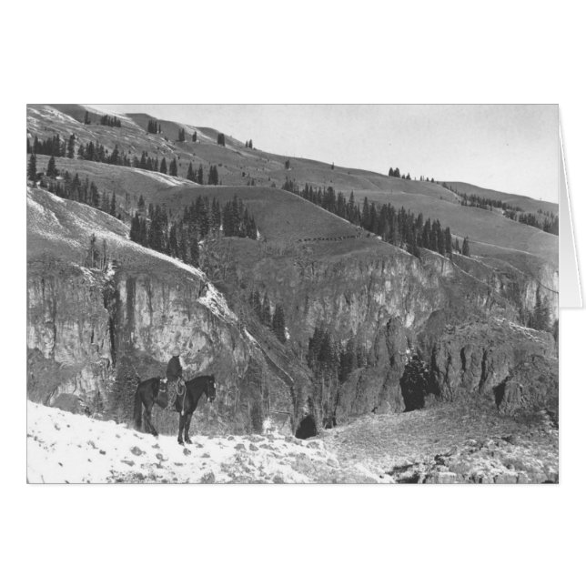 Cowboy separated from his herd. (Front Horizontal)