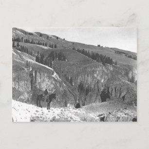 Cowboy separated from his herd. postcard