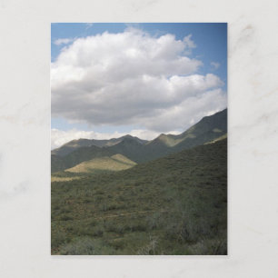 Cowboy Skyline Arizona Desert Photo Postcards