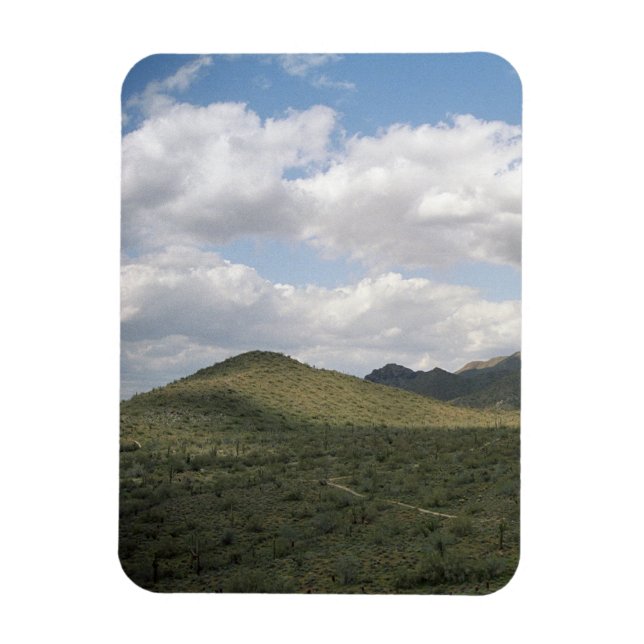 Cowboy Skyline Decorative Western Desert Magnet (Vertical)