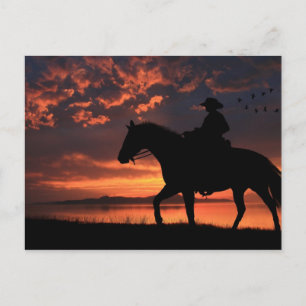 Cowboy Sunset Postcard