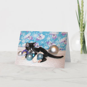 Cowboy the Adorable Kitten (Cat) Christmas Card