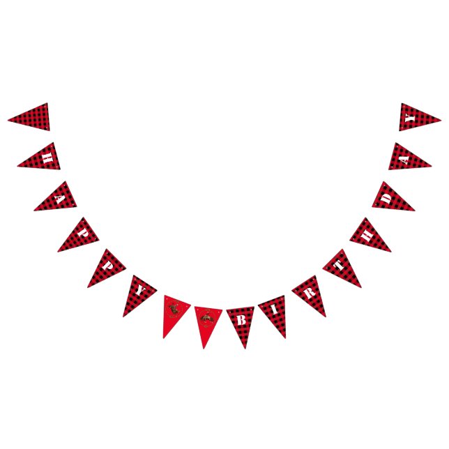 Cowboy themed bunting  (All)