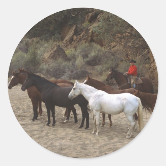 Cowboy with Herd Classic Round Sticker (Front)