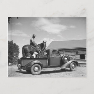 Cowboy with horse in a truck postcard