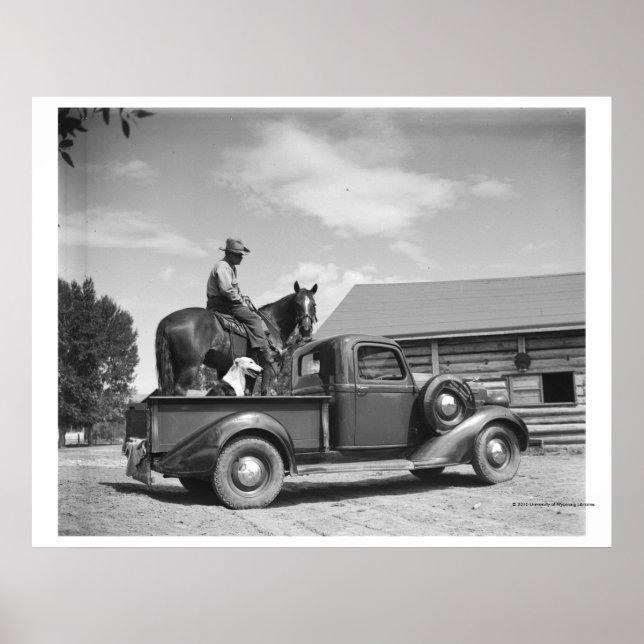 Cowboy with horse in a truck poster (Front)
