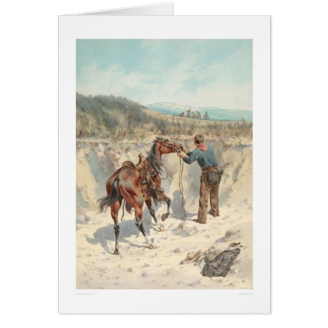 Cowboy with horse in Arroyo... (1324) (Front)