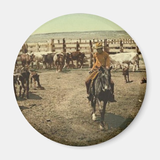 Cowboys and Cows Magnet (Front)