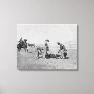 Cowboys Branding a Calf PhotographSouth Dakota Canvas Print