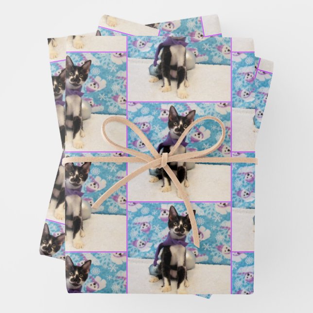 Cowboy's Christmas - Cat / Kitten Wrapping Paper  (In situ)