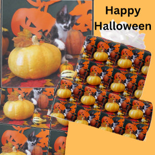 Cowboy's Halloween - Cat / Kitten Wrapping Paper