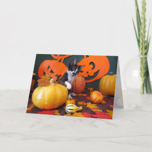 Cowboy's Halloween Party - Cat / Kitten Card